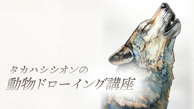 タカハシシオンの動物ドローイング講座 ～狼～の画像1（サムネイル）